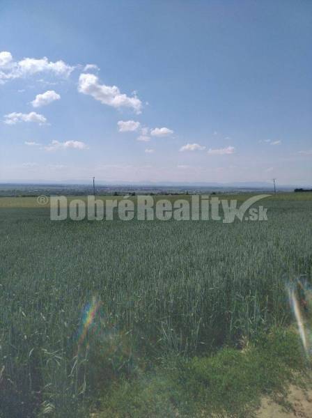 Vinohrady nad Váhom Agrarian and forest land Sale reality Galanta