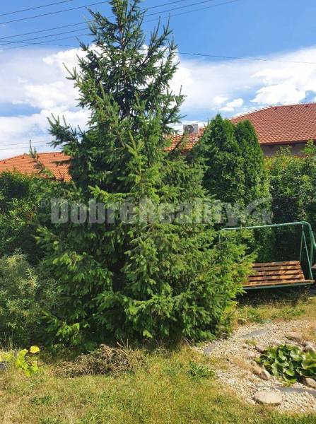 Mojzesovo Family house Buy reality Nové Zámky