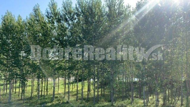 Neded Land – for living Sale reality Šaľa