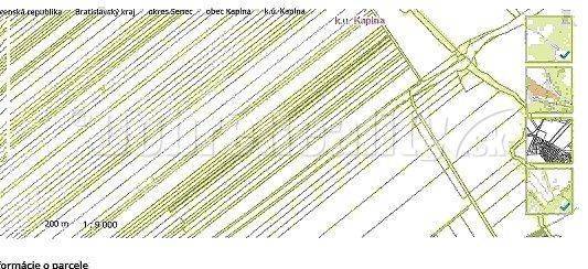 Kaplna Agrarian and forest land Sale reality Senec