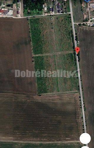 Kaplna Agrarian and forest land Sale reality Senec