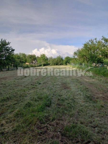 Trnovec nad Váhom Land – for living Sale reality Šaľa