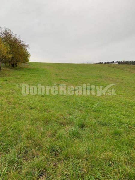 Považská Bystrica Agrarian and forest land Sale reality Považská Bystrica