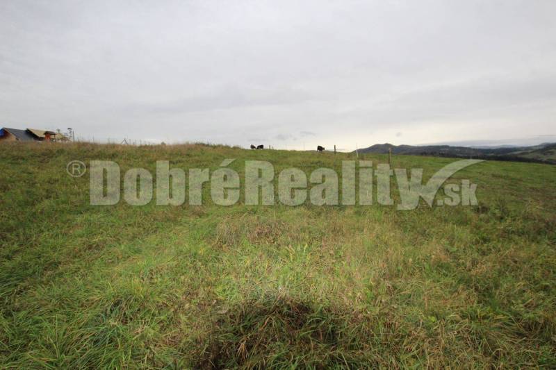 Považská Bystrica Agrarian and forest land Sale reality Považská Bystrica