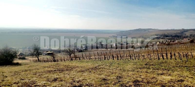 Kamenný Most Vineyards Sale reality Nové Zámky