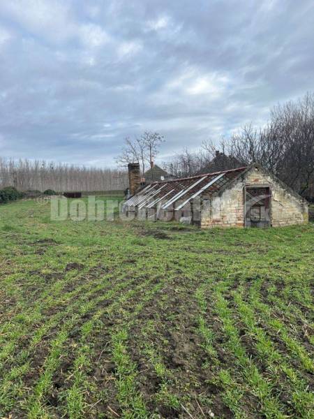 Neded Family house Sale reality Šaľa