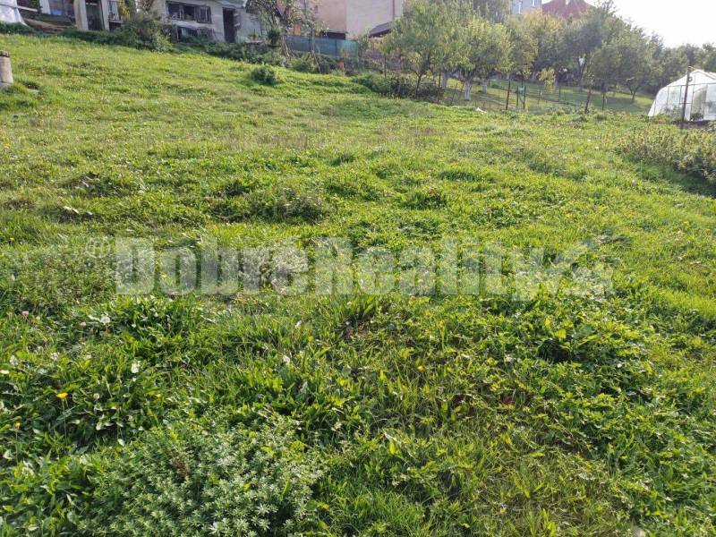 Machulince Land – for living Sale reality Zlaté Moravce