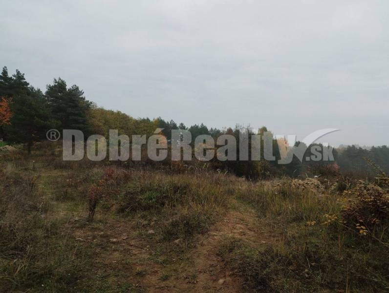 Badín Land – for living Sale reality Banská Bystrica