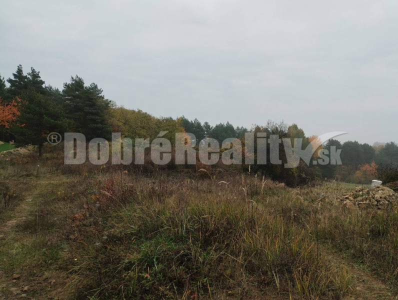 Badín Land – for living Sale reality Banská Bystrica