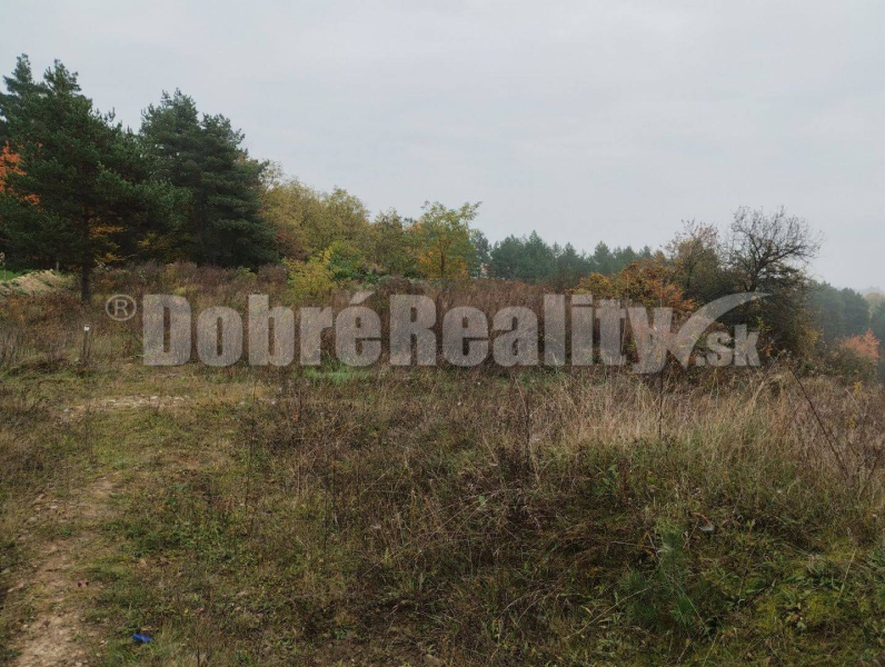 Badín Land – for living Sale reality Banská Bystrica