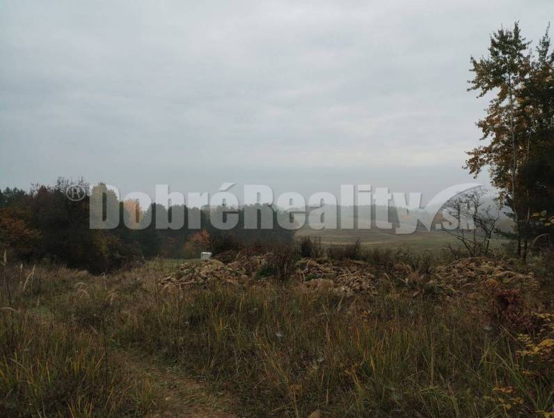 Badín Land – for living Sale reality Banská Bystrica