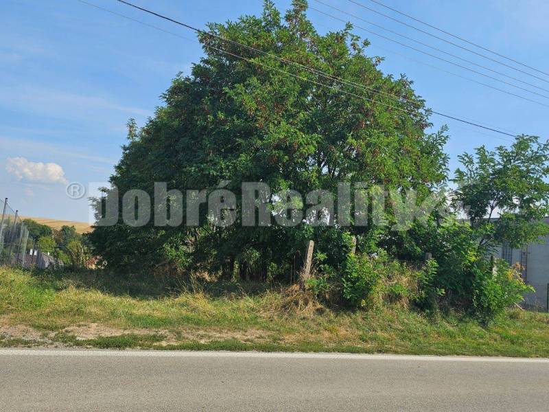 Bojná Land – for living Sale reality Topoľčany