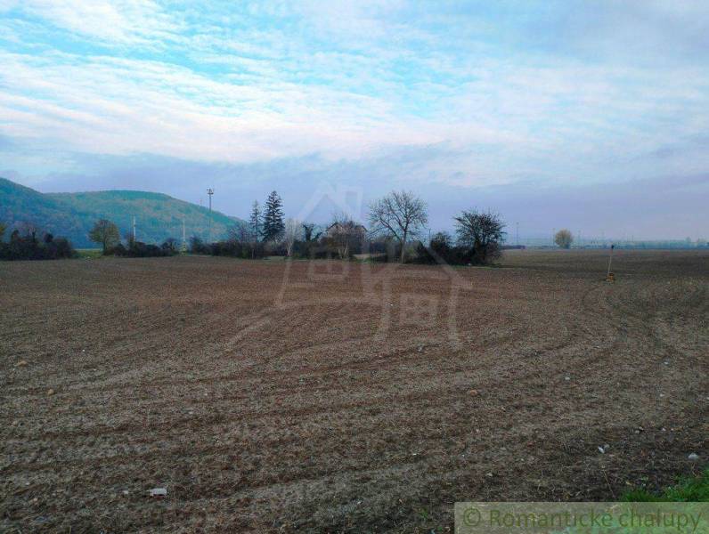 Trenčianske Bohuslavice Agrarian and forest land Sale reality Nové Mesto nad Váhom