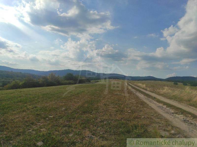 Veľký Krtíš Agrarian and forest land Sale reality Veľký Krtíš