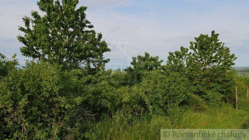 Častá Agrarian and forest land Sale reality Pezinok