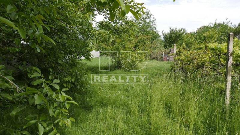 Dunajská Lužná Land – for living Sale reality Senec