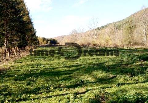 Horný Tisovník Land – for living Sale reality Detva