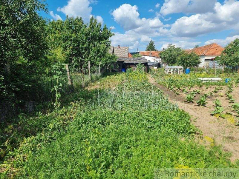 Hlohovec Family house Sale reality Hlohovec