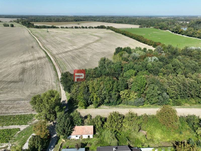 Potônske Lúky Land – for living Sale reality Dunajská Streda