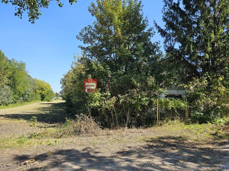 Potônske Lúky Land – for living Sale reality Dunajská Streda