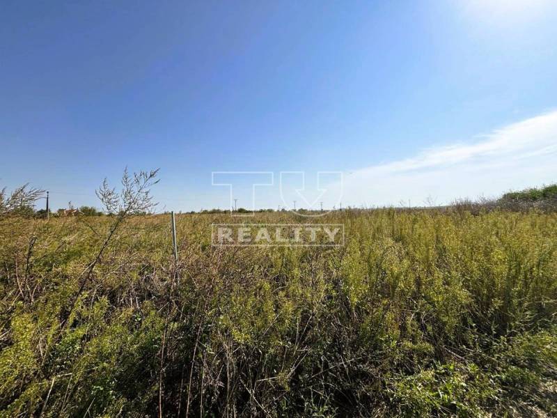 Kalinkovo Land – for living Sale reality Senec