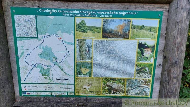 Vrbovce Agrarian and forest land Sale reality Myjava