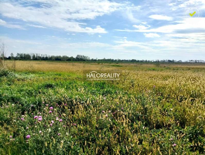 Štefanovičová Land – for living Sale reality Nitra