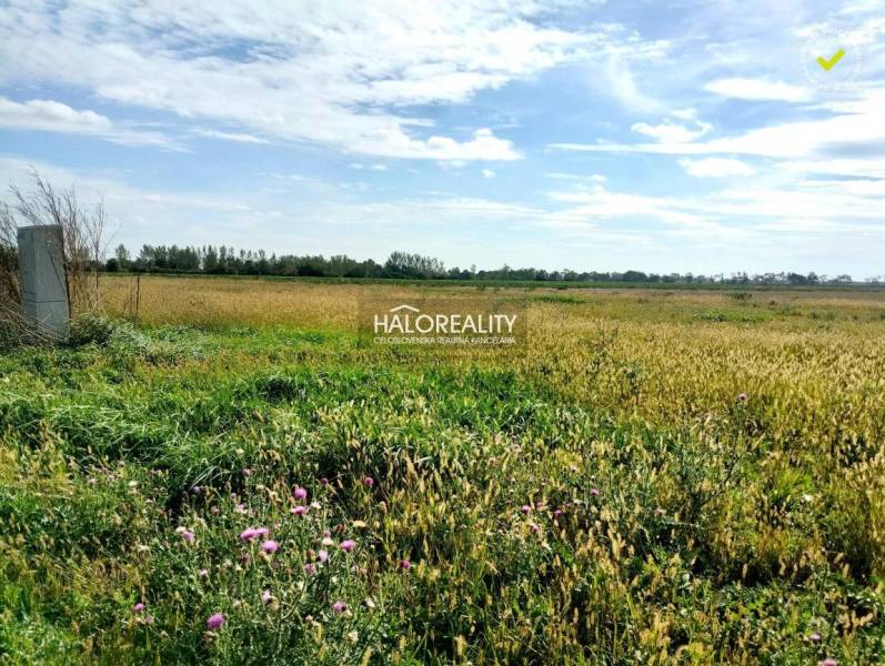 Štefanovičová Land – for living Sale reality Nitra