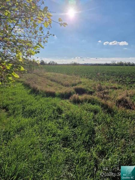 Senec Land – for living Sale reality Senec