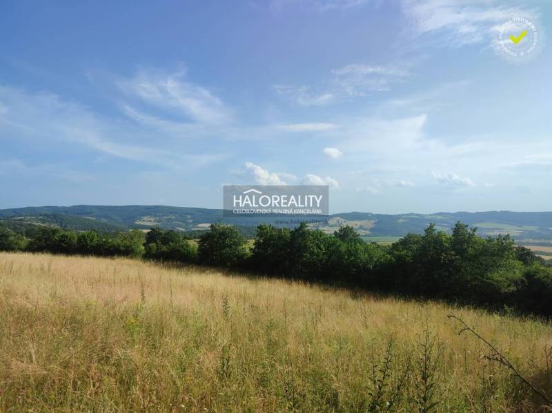 Pliešovce Land – for living Sale reality Zvolen