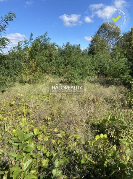 Kaplna Land – for living Sale reality Senec