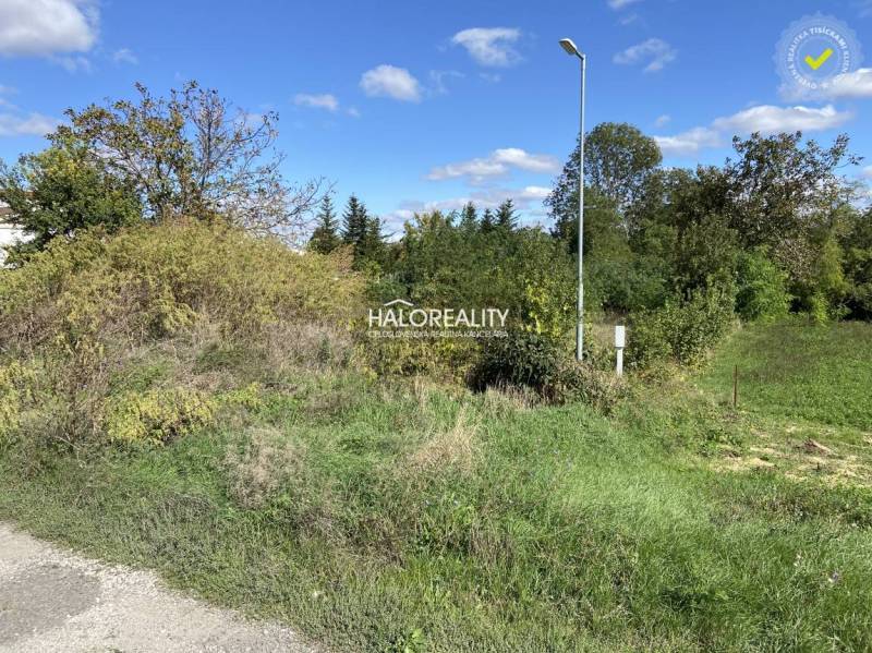 Kaplna Land – for living Sale reality Senec