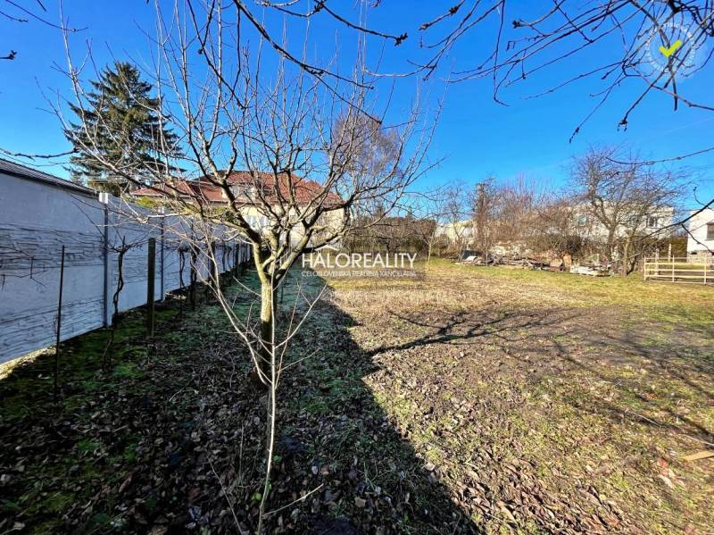 Beša Land – for living Sale reality Levice