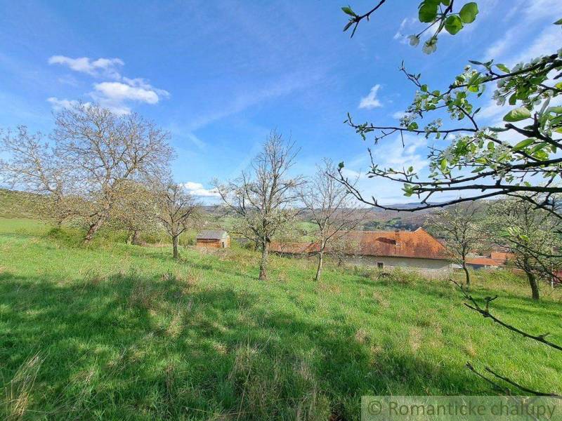 Jedľové Kostoľany Land – for living Sale reality Zlaté Moravce