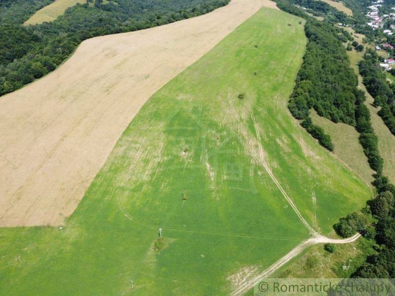 Osadné Agrarian and forest land Sale reality Snina