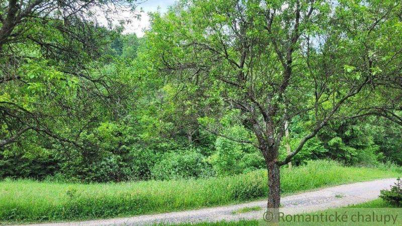 Veľké Rovné Land – for living Sale reality Bytča