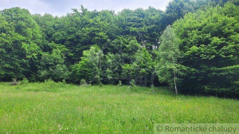 Veľké Rovné Land – for living Sale reality Bytča