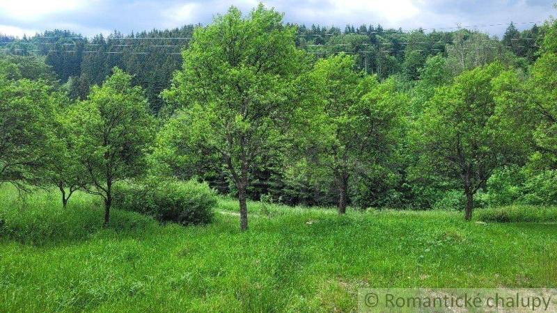 Veľké Rovné Land – for living Sale reality Bytča