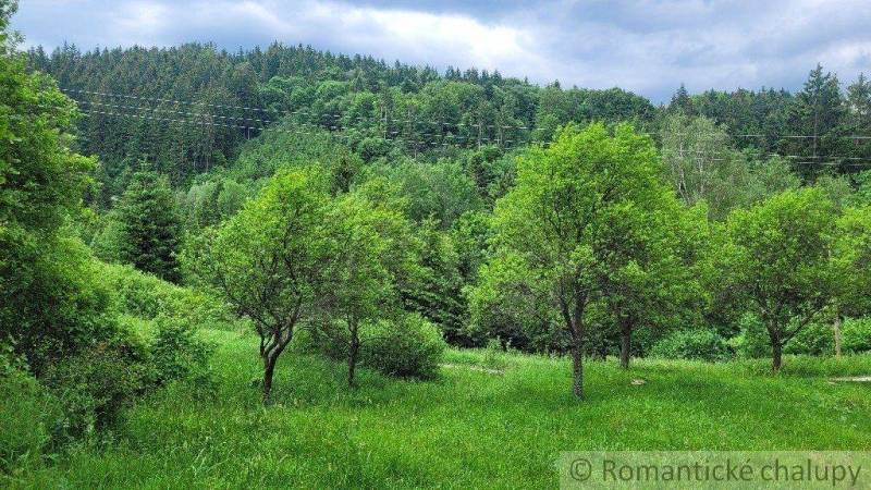 Veľké Rovné Land – for living Sale reality Bytča