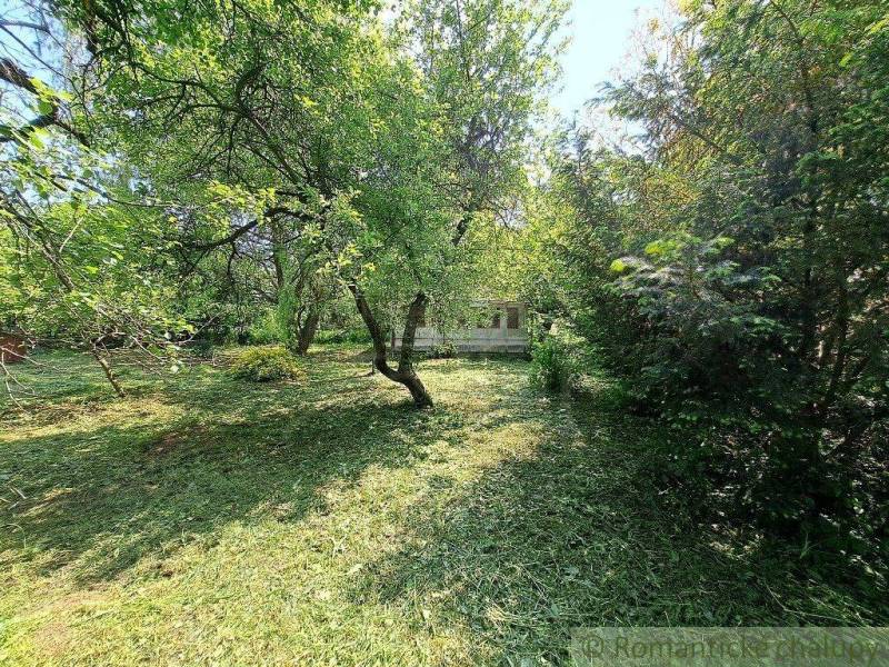 Podhorany Land – for living Sale reality Nitra