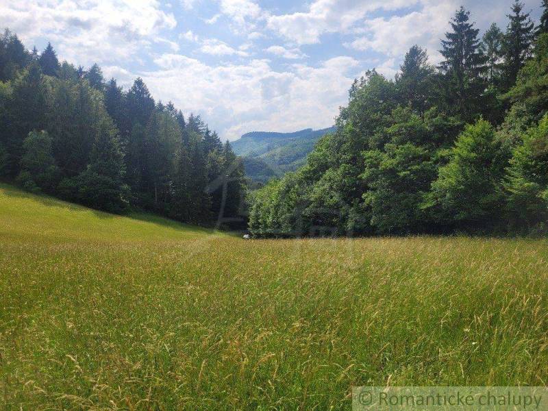 Záriečie Agrarian and forest land Sale reality Púchov