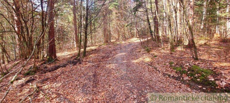 Horná Lehota Recreational land Sale reality Brezno