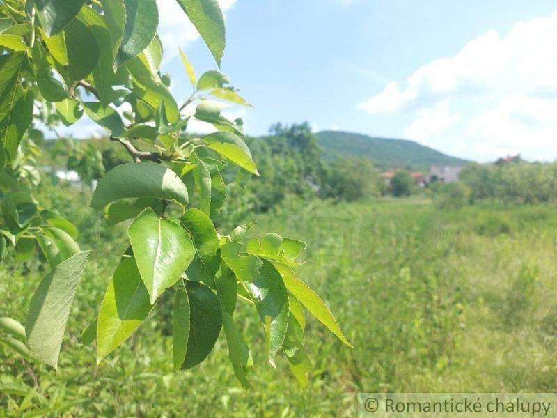 Kamenica nad Hronom Family house Sale reality Nové Zámky