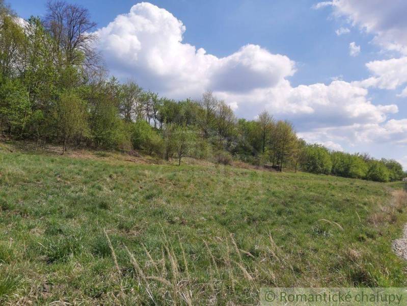 Dolné Kočkovce Agrarian and forest land Sale reality Púchov