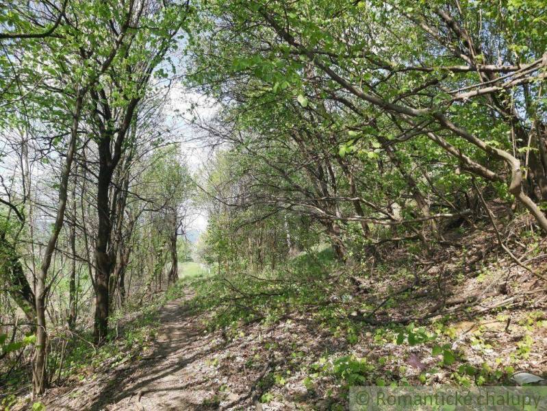 Dolné Kočkovce Agrarian and forest land Sale reality Púchov