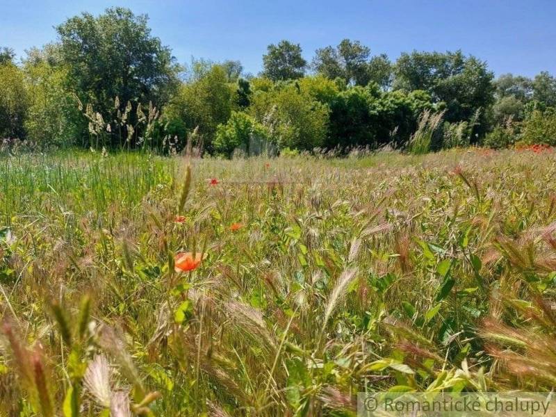 Radvaň nad Dunajom Agrarian and forest land Sale reality Komárno