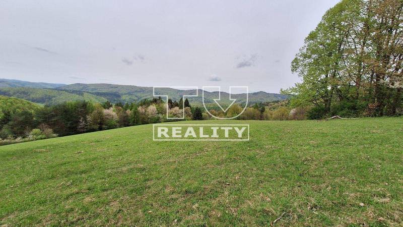 Horné Orešany Land – for living Sale reality Trnava