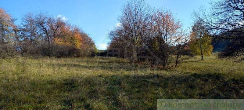 Ábelová Agrarian and forest land Sale reality Lučenec