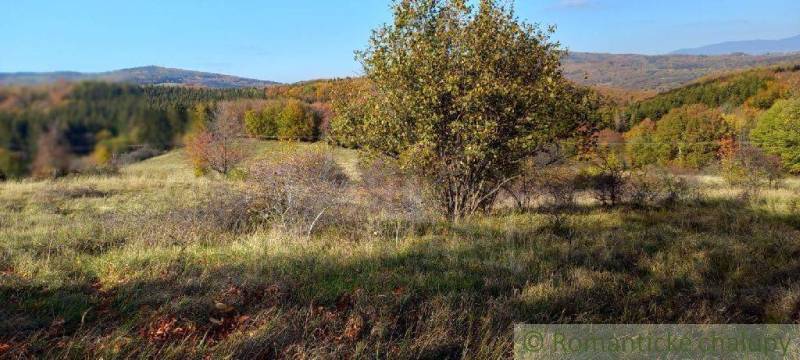 Ábelová Agrarian and forest land Sale reality Lučenec