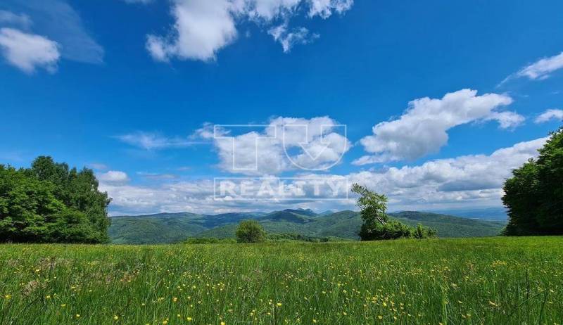 Horné Srnie Recreational land Sale reality Trenčín